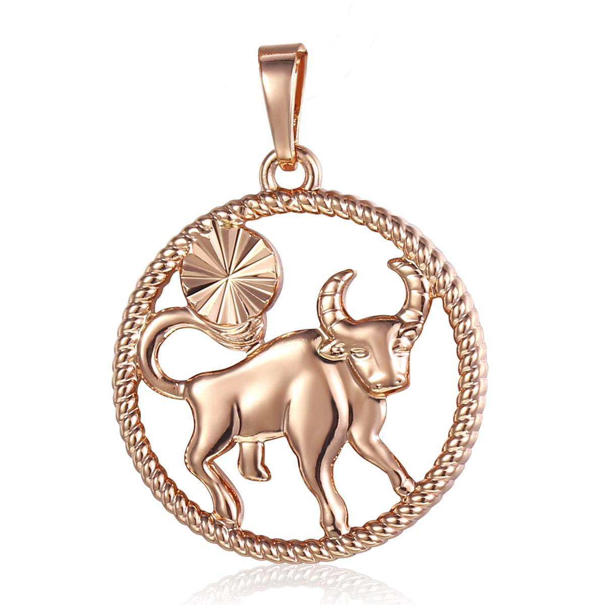 Astrological - Zodiac Horoscope Necklaces for Women and Men | Rose Gold