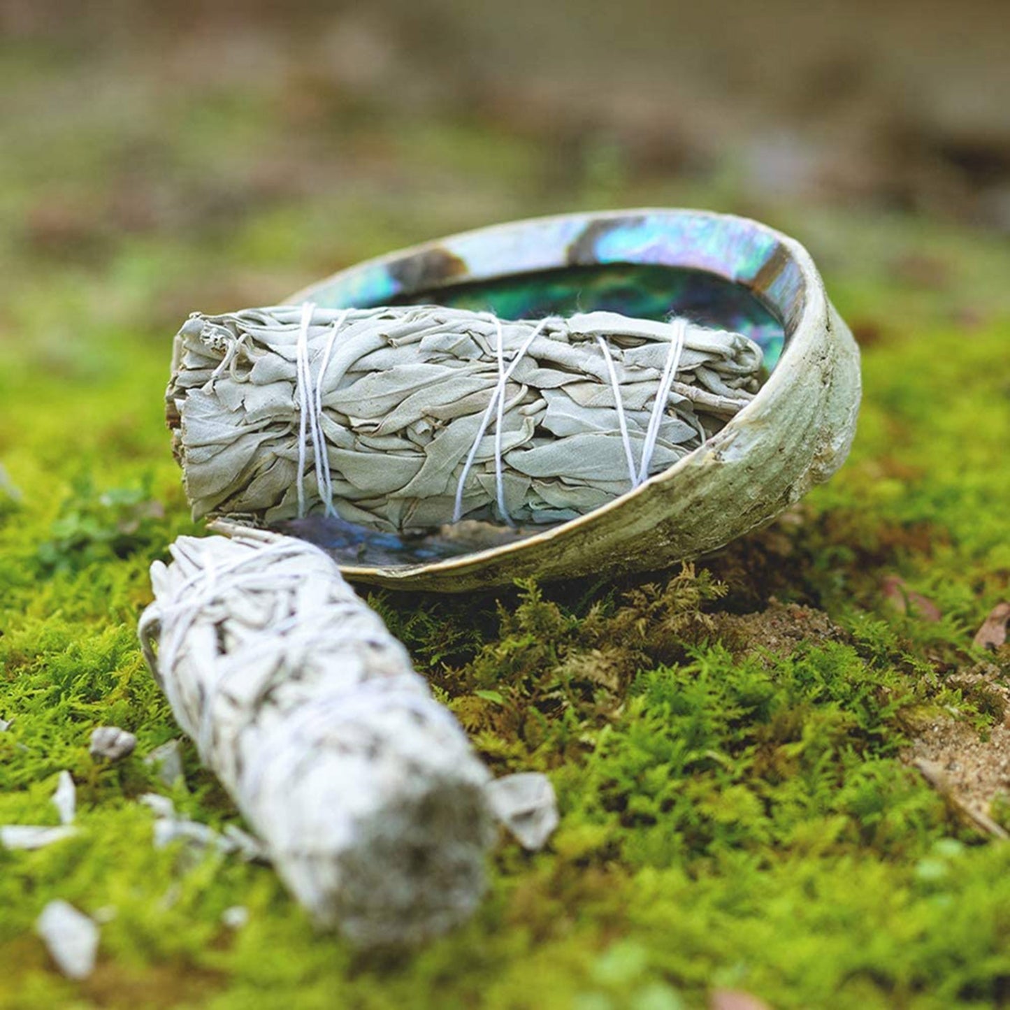 White Sage Bundle | Smudging Stick for Aura Cleansing, Divination Practice