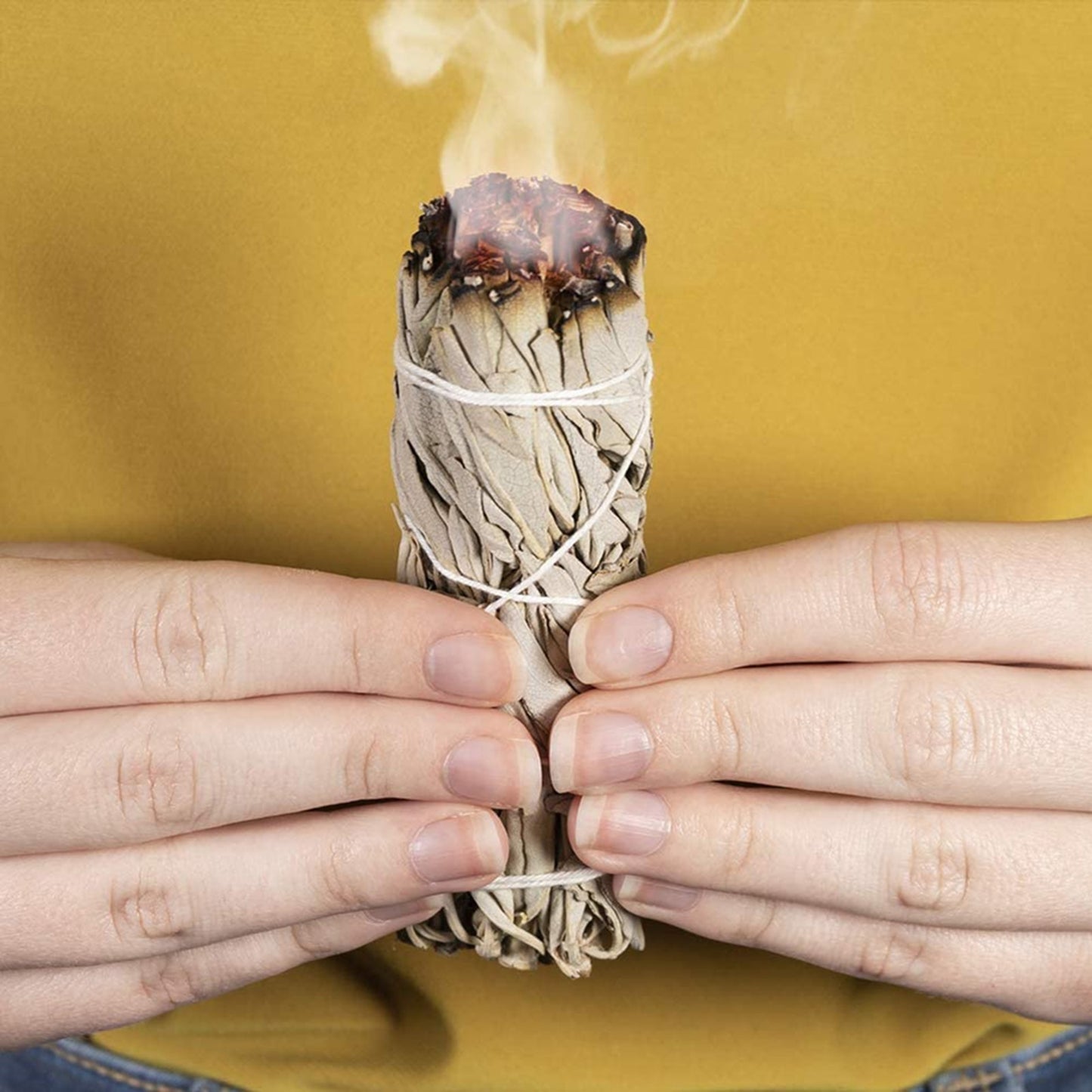 White Sage Bundle | Smudging Stick for Aura Cleansing, Divination Practice