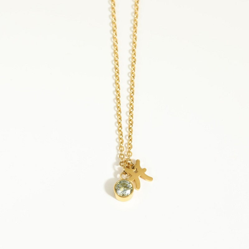 12 Constellation Birthstone Stainless Steel Necklace - Pendant | Astrology Jewelry