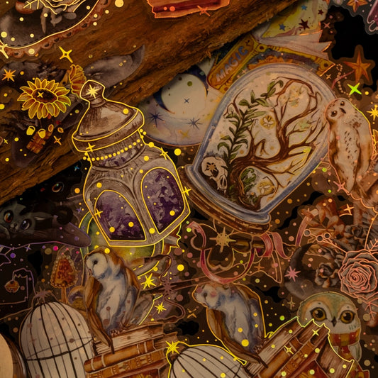 10pcs Magic Awakening Series Decorative Stickers Pack | Vintage Owl Theme for Scrapbooking