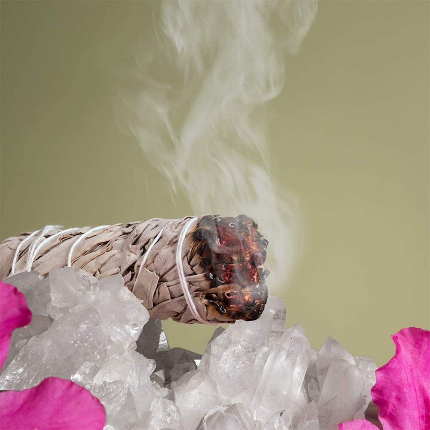 White Sage Bundle | Smudging Stick for Aura Cleansing, Divination Practice