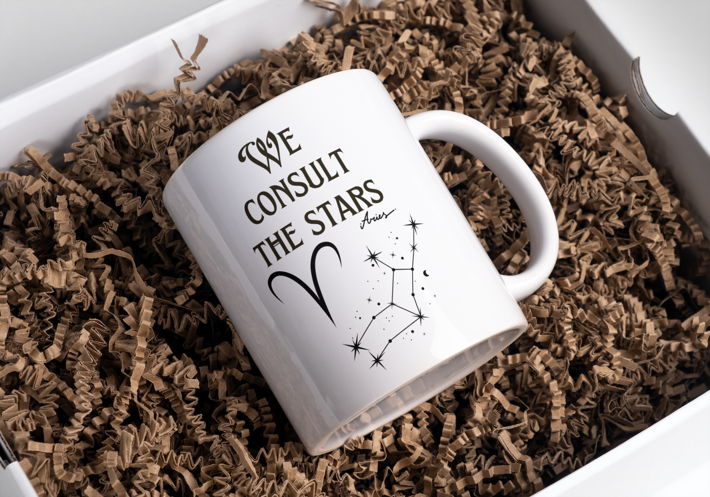 We Consult the Stars Mug