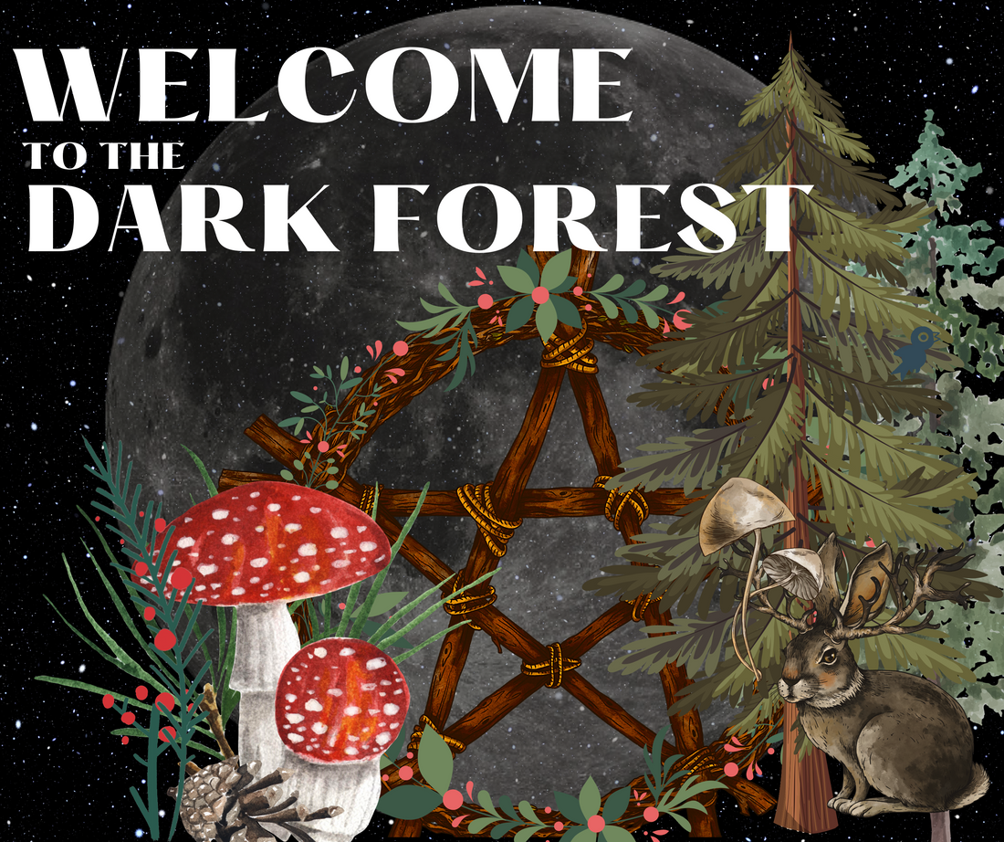 Welcome to the Dark Forest - A New Development