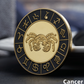 Gold / Black Zodiac Coin - Stainless Steel - Horoscope, Astrology theme