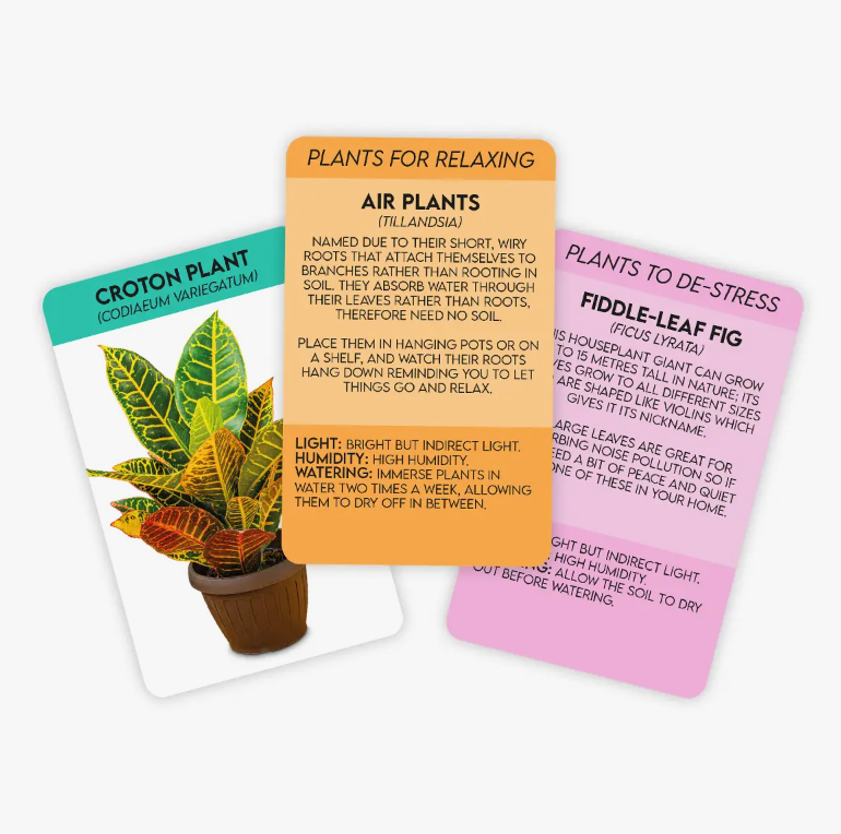 Positive Plants Deck Gift Republic